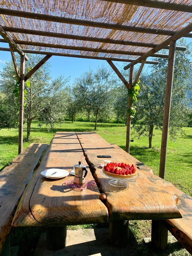 ריבה דל גארדה Agriturismo Casa Di Campagna מראה חיצוני תמונה