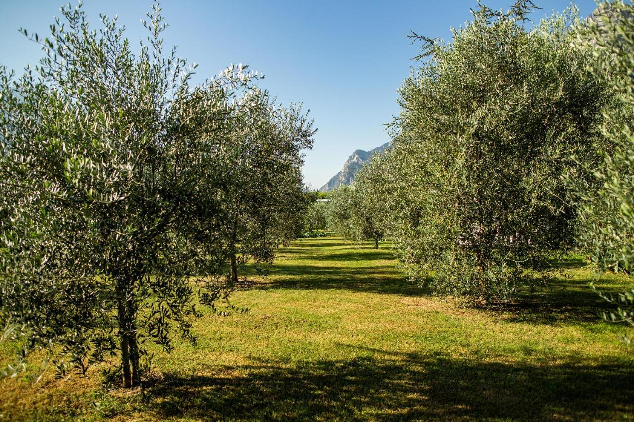 ריבה דל גארדה Agriturismo Casa Di Campagna מראה חיצוני תמונה