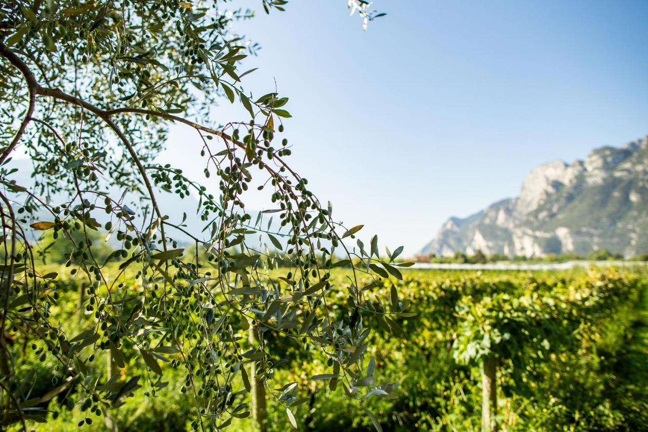 ריבה דל גארדה Agriturismo Casa Di Campagna מראה חיצוני תמונה
