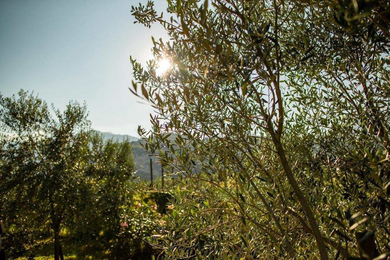ריבה דל גארדה Agriturismo Casa Di Campagna מראה חיצוני תמונה