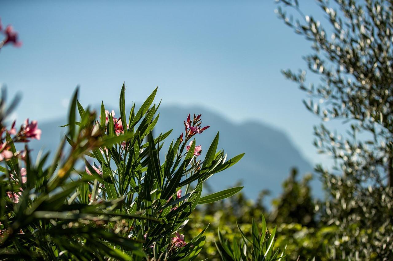 ריבה דל גארדה Agriturismo Casa Di Campagna מראה חיצוני תמונה